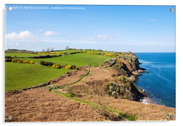 Anglesey Coastal Path near Benllech Acrylic by Pearl Bucknall