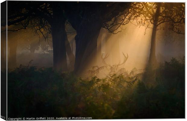 Sunrise in Richmond Park Canvas Print by Martin Griffett