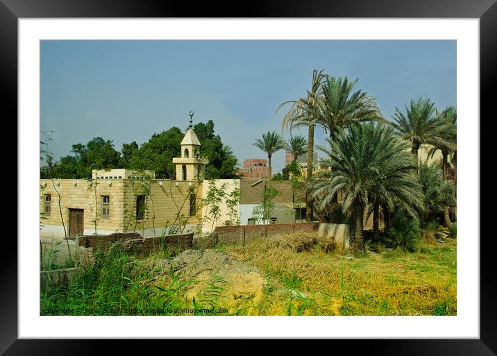 House on the banks of the Nile, Egypt. Framed Mounted Print by Peter Bolton