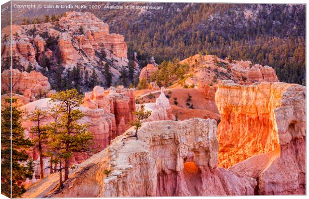 Bryce Canyon, Utah Canvas Print by Colin & Linda McKie