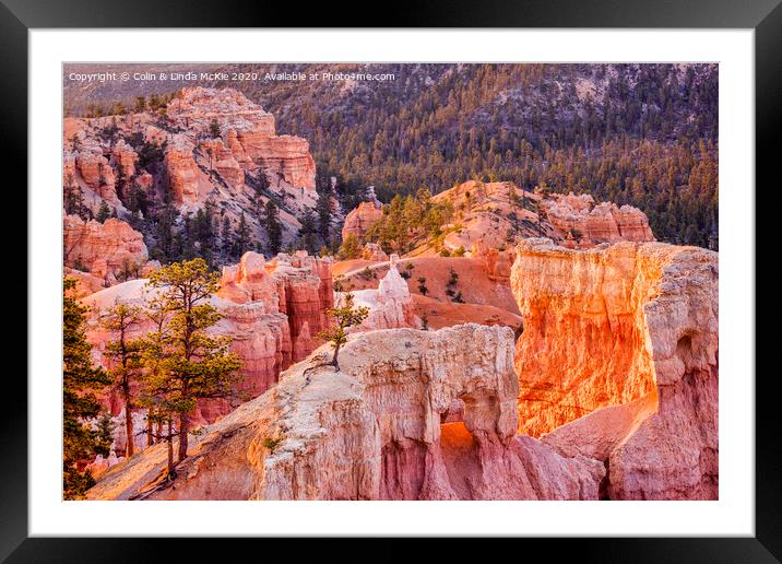 Bryce Canyon, Utah Framed Mounted Print by Colin & Linda McKie