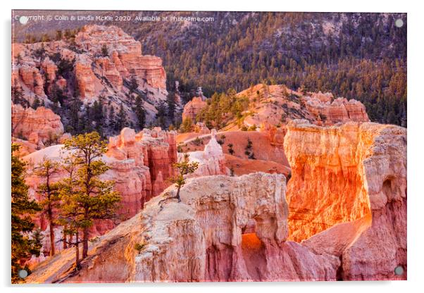 Bryce Canyon, Utah Acrylic by Colin & Linda McKie