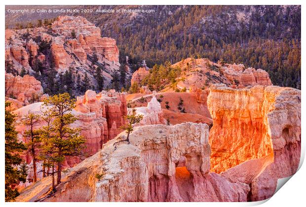 Bryce Canyon, Utah Print by Colin & Linda McKie