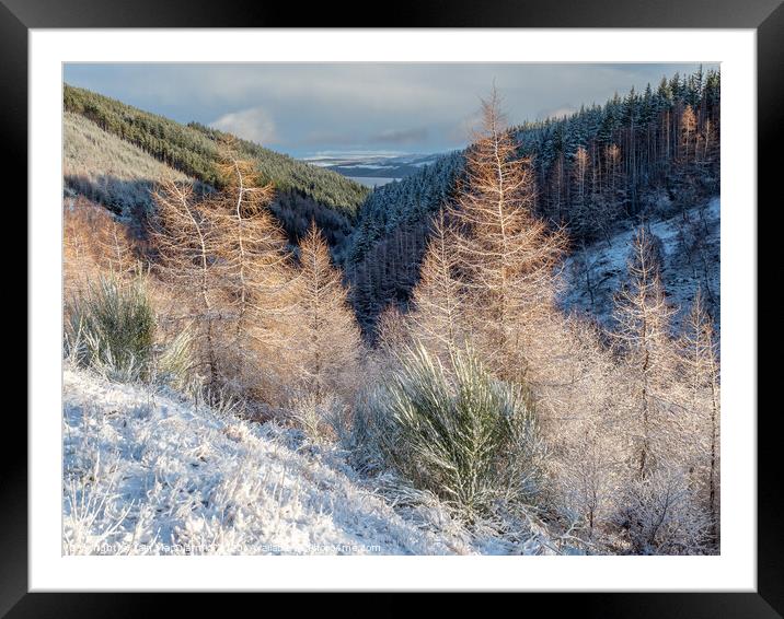 Snow in the Glen Framed Mounted Print by Iain MacDiarmid