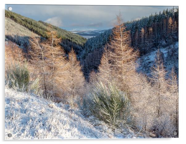 Snow in the Glen Acrylic by Iain MacDiarmid