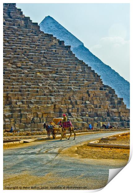 Majestic Pyramids of Giza Print by Peter Bolton