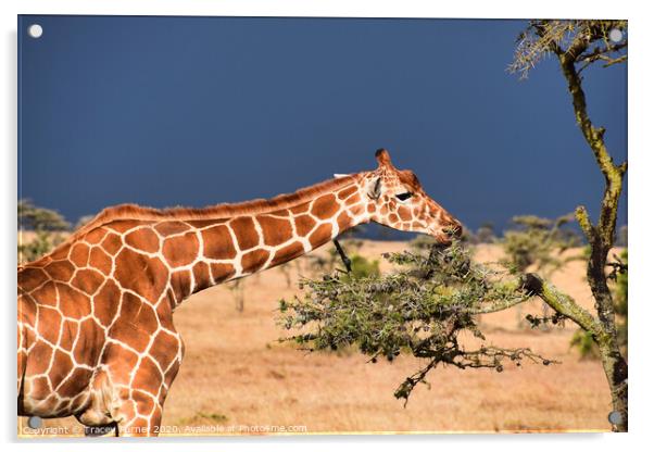 Gentle Giraffe Acrylic by Tracey Turner