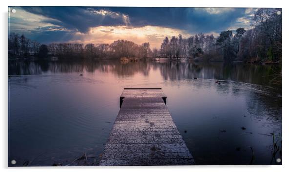 Apley Lake  Acrylic by simon alun hark