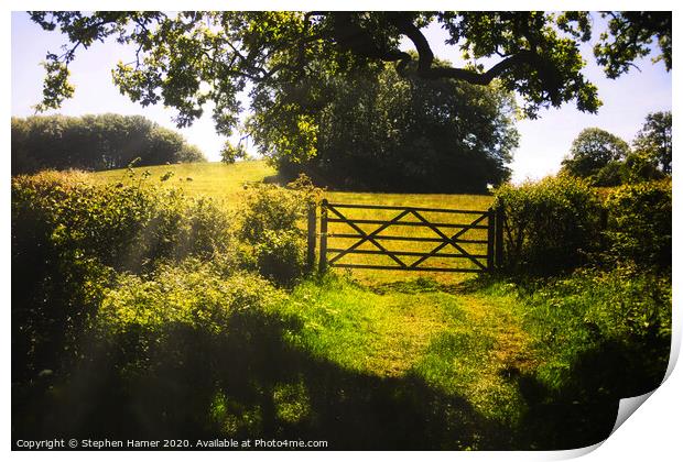 Five Bar Gate & Sunrays Print by Stephen Hamer