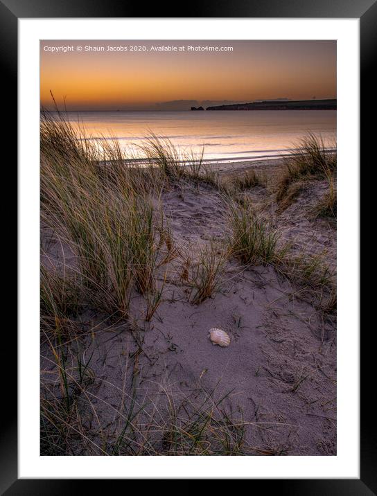 Shell beach Studland Dorset  Framed Mounted Print by Shaun Jacobs