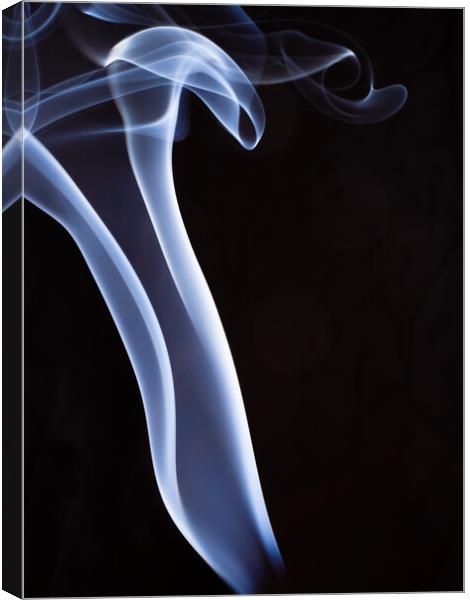 Smoke Canvas Print by David Martin