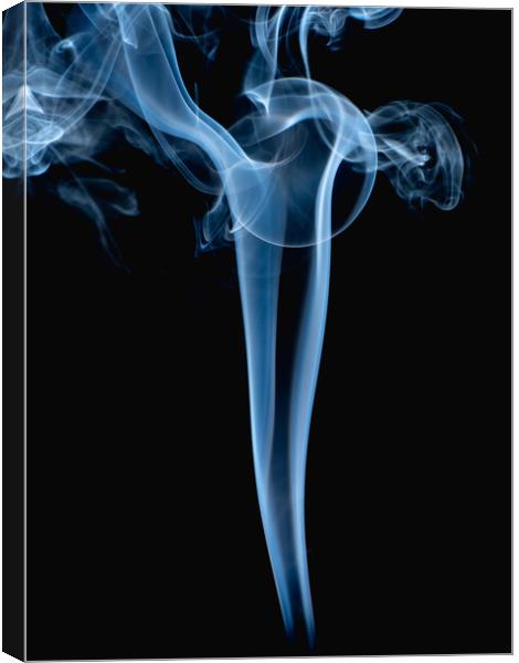 Smoke 6 Canvas Print by David Martin