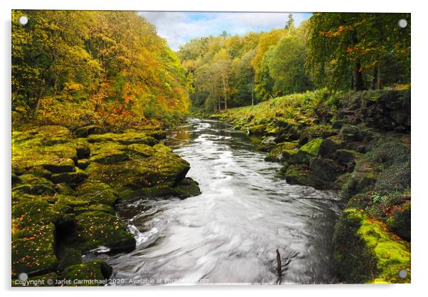 The Strid, Yorkshire Dales Acrylic by Janet Carmichael