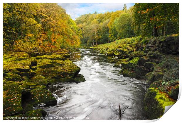 The Strid, Yorkshire Dales Print by Janet Carmichael