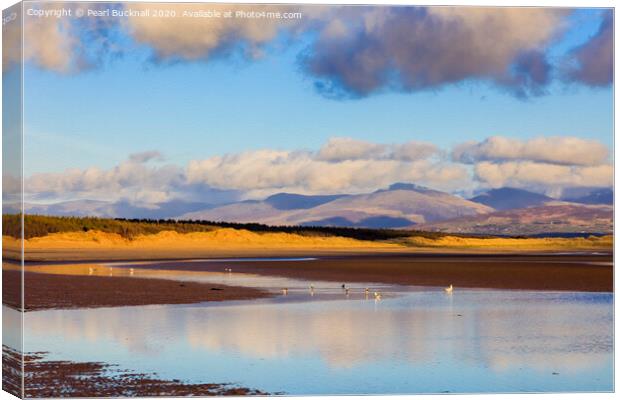 Newborough Forest meets the Beach in Anglesey Canvas Print by Pearl Bucknall