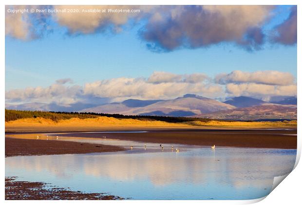 Newborough Forest meets the Beach in Anglesey Print by Pearl Bucknall