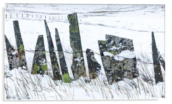 Slate fence Acrylic by Rory Trappe