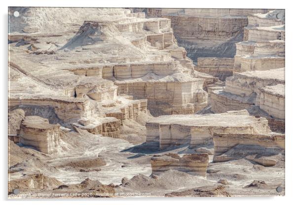 Judaen Desert Rocky Landscape, Israel Acrylic by Daniel Ferreira-Leite