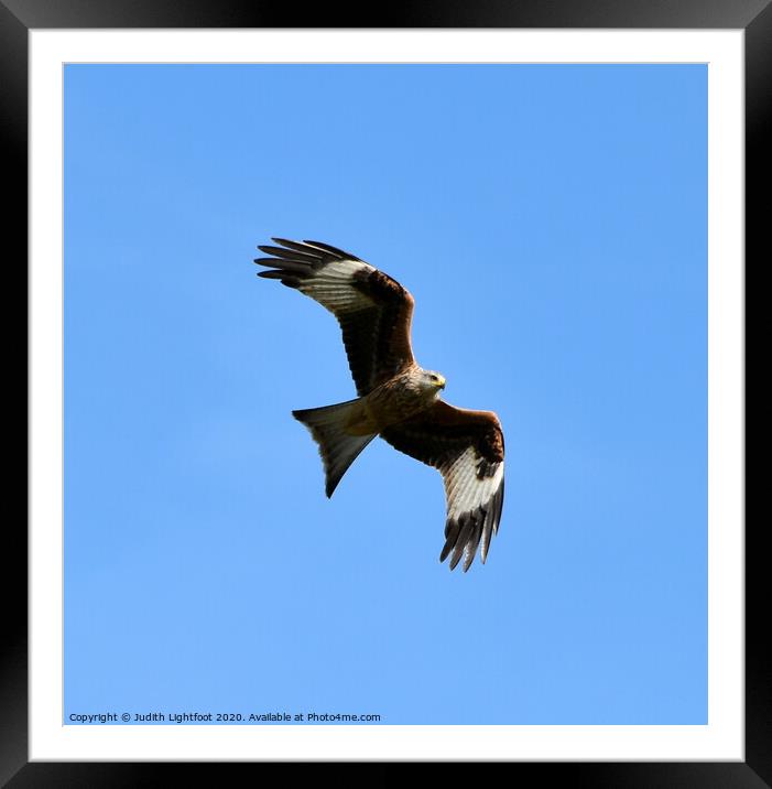 Let's go fly a Kite Framed Mounted Print by Judith Lightfoot
