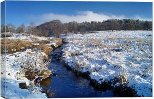 Burbage Brook in Winter Canvas Print by Darren Galpin