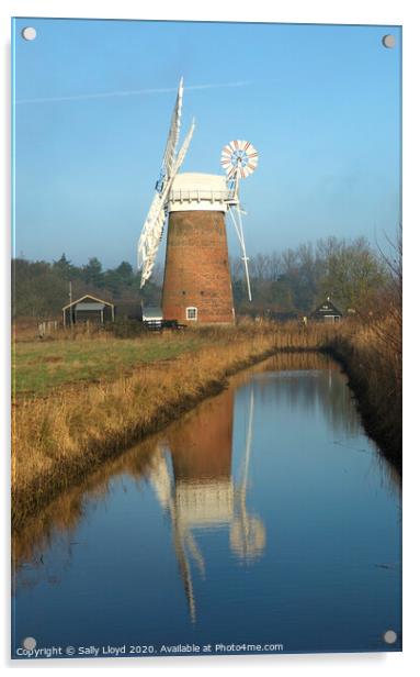 Horsey Mill, Norfolk  Acrylic by Sally Lloyd