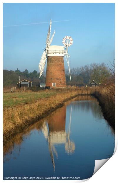 Horsey Mill, Norfolk  Print by Sally Lloyd