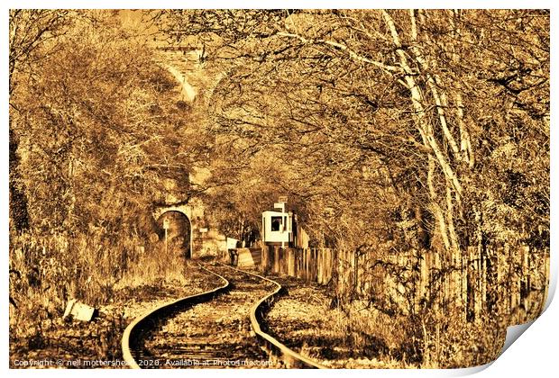 The Looe Valley Line Collection. Print by Neil Mottershead