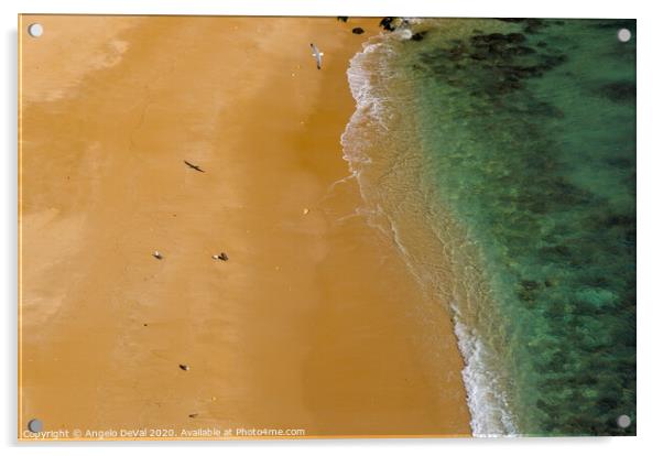 Seagulls in Praia Deserta Acrylic by Angelo DeVal