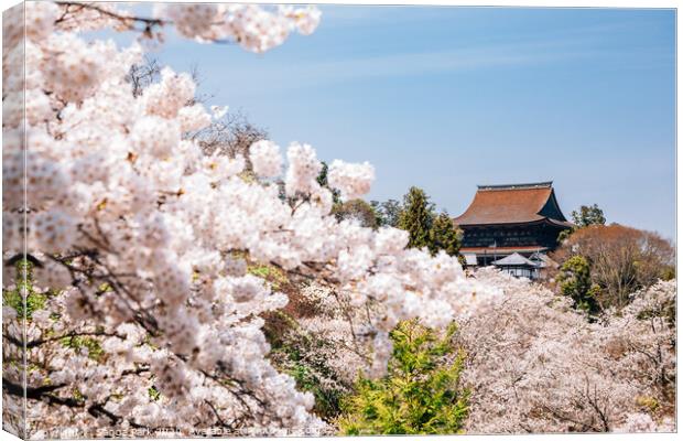 Yoshino mountain with cherry blossoms Canvas Print by Sanga Park