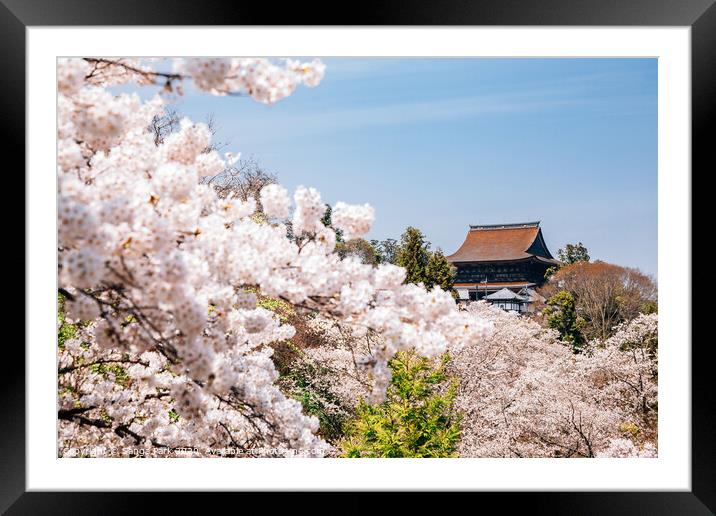 Yoshino mountain with cherry blossoms Framed Mounted Print by Sanga Park
