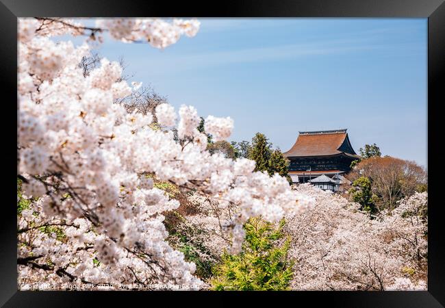 Yoshino mountain with cherry blossoms Framed Print by Sanga Park