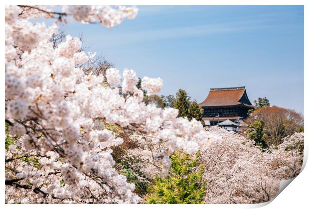 Yoshino mountain with cherry blossoms Print by Sanga Park