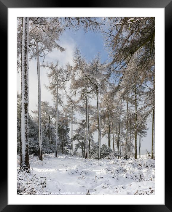 Winter wonderland Framed Mounted Print by Bill Allsopp