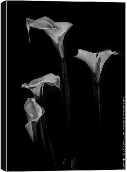 Grace of the Lily Canvas Print by Cliff Kinch