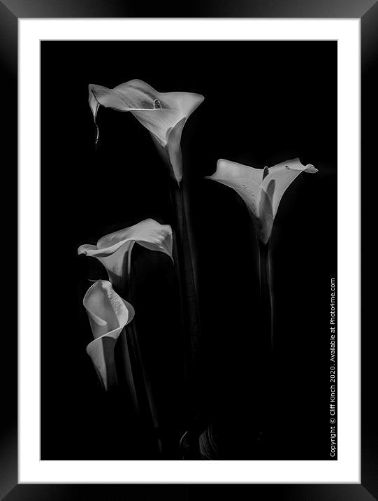 Grace of the Lily Framed Mounted Print by Cliff Kinch