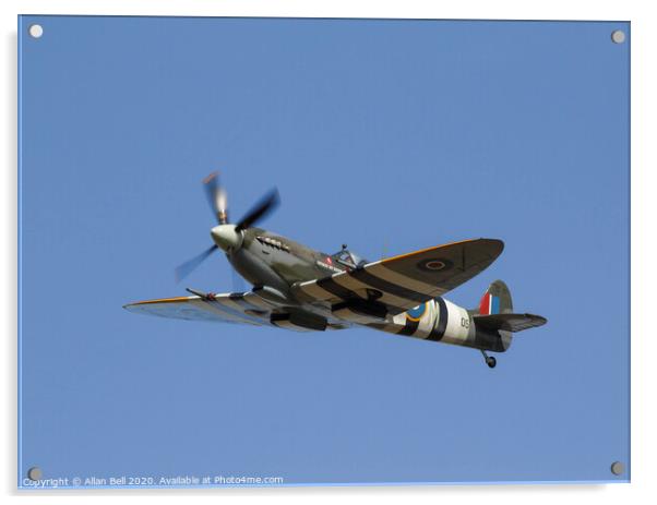 Majestic Spitfire flies through the sky Acrylic by Allan Bell