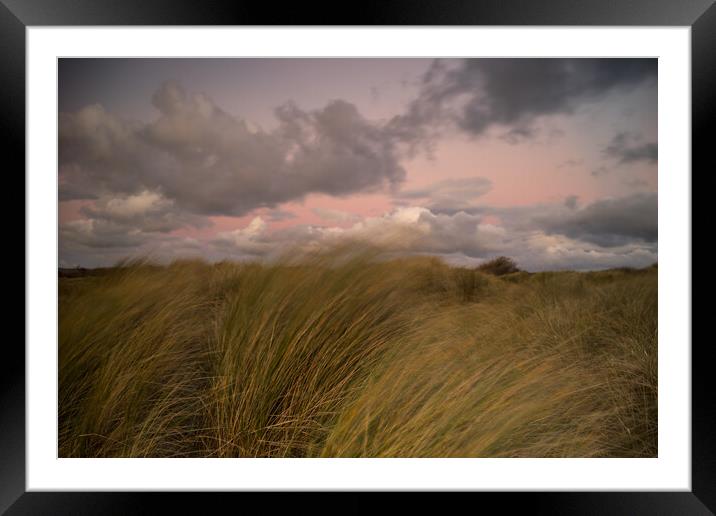 Instow beach dunes at sunset Framed Mounted Print by Tony Twyman