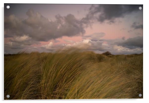 Instow beach dunes at sunset Acrylic by Tony Twyman