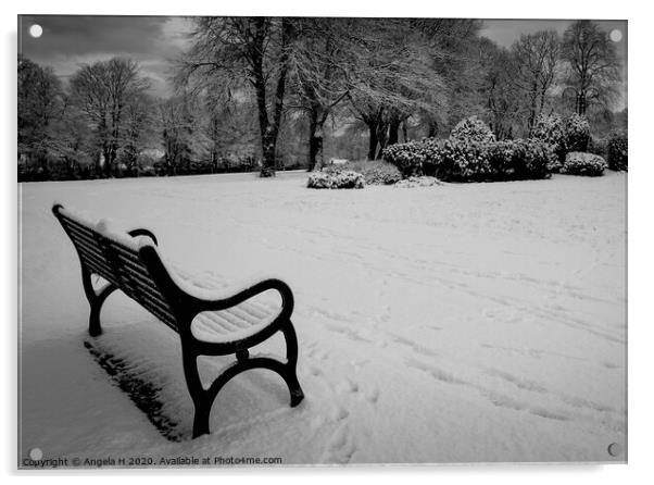 Snowy Bench Acrylic by Angela H