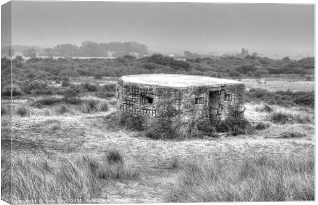 Wartime Pillbox at Horsey Canvas Print by Sally Lloyd