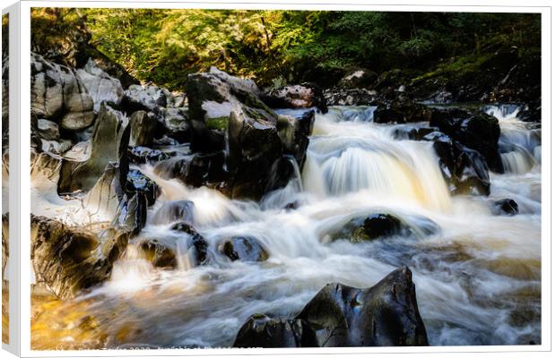 River through the Fairy Glen Canvas Print by Peter Taylor