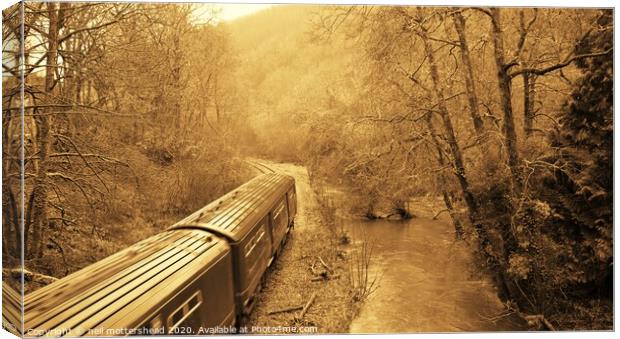 The Looe Valley Line Collection. Canvas Print by Neil Mottershead