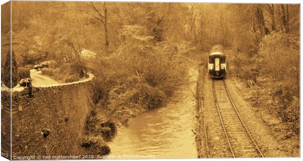 The Looe Valley Line Collection. Canvas Print by Neil Mottershead