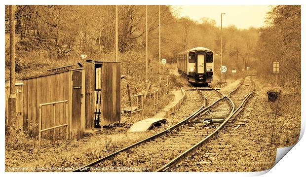 The Looe Valley Line Collection. Print by Neil Mottershead