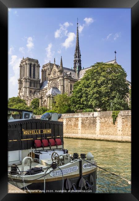 PARIS Cathedral Notre-Dame  Framed Print by Melanie Viola