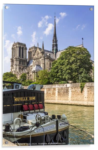 PARIS Cathedral Notre-Dame  Acrylic by Melanie Viola