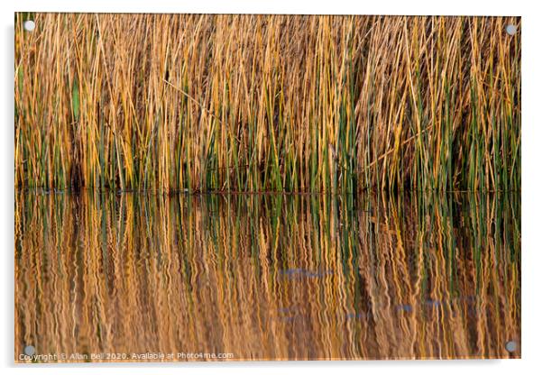 Reeds Reflected in Lake Acrylic by Allan Bell
