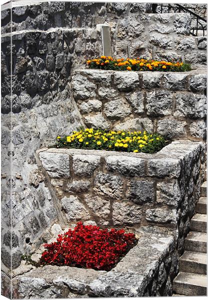 Terraced Flower Beds in Old Town, Dubrovnik Canvas Print by Chris Turner