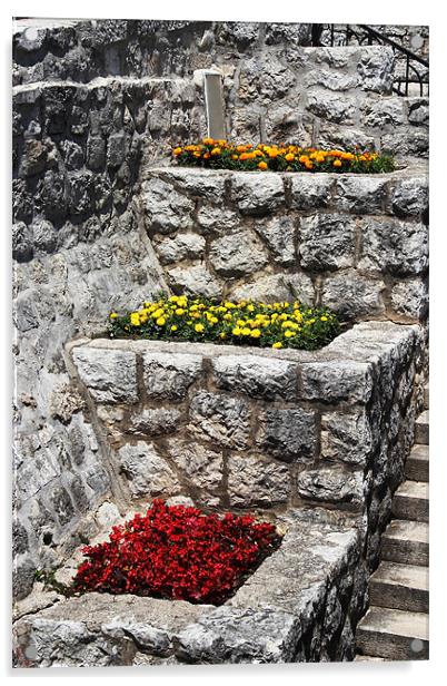 Terraced Flower Beds in Old Town, Dubrovnik Acrylic by Chris Turner