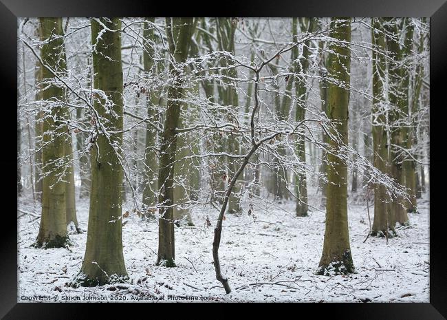 Winter woodland Framed Print by Simon Johnson